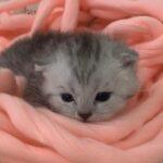 WhatsApp Image 2023-06-14 at 08.36.08 (3)